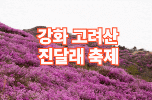 ETF 투자 전략 5가지 (고수들이 쓰는 실전 포트폴리오)